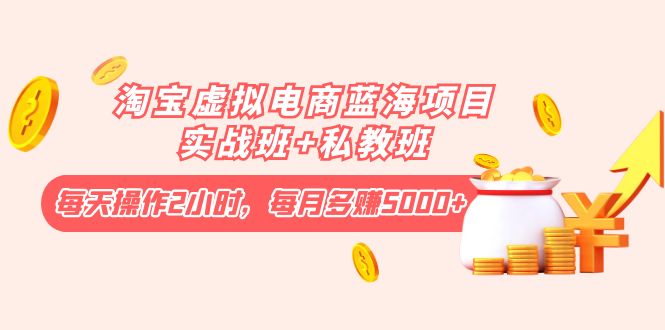 图片[1]-淘宝虚拟电商蓝海项目实战班+私教班：每天操作2小时，每月多赚5000+-草根创业生活网