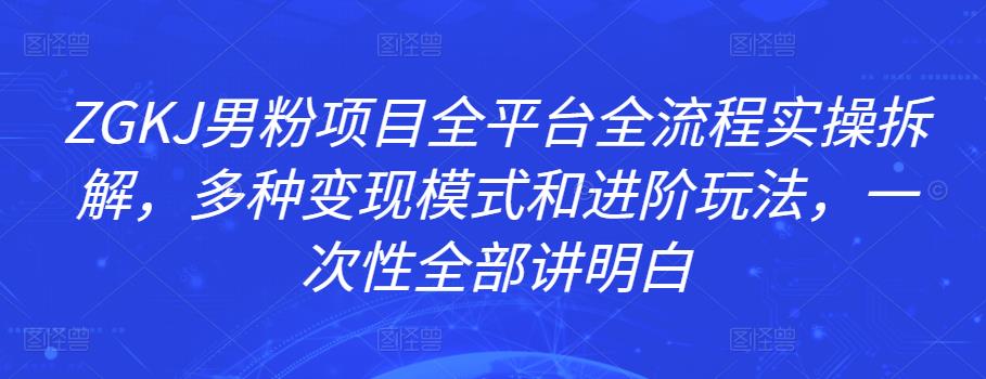 图片[1]-ZGKJ男粉项目全平台全流程实操拆解，多种变现模式和进阶玩法，一次性全部讲明白-阿灿说钱
