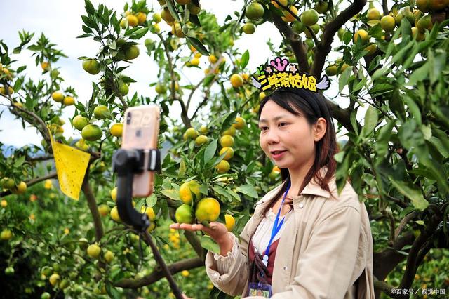 图片[4]-农民工返乡不知道做什么？试试这3门生意，投入少，零碎时间可做-草根创业生活网