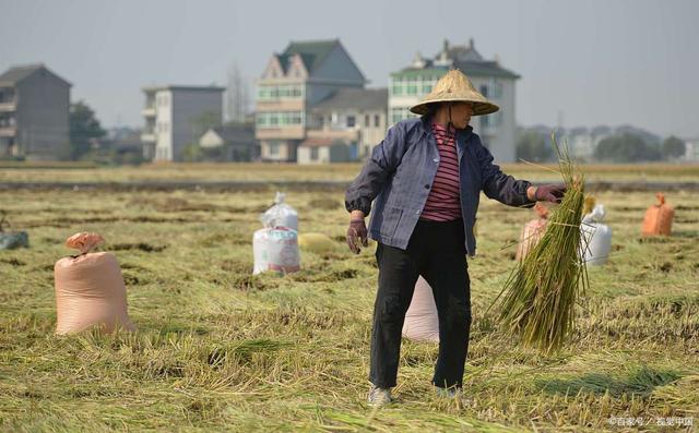 图片[3]-2028年第二轮土地承包到期，会重新分地吗？无地农民能分到地吗？-草根创业生活网