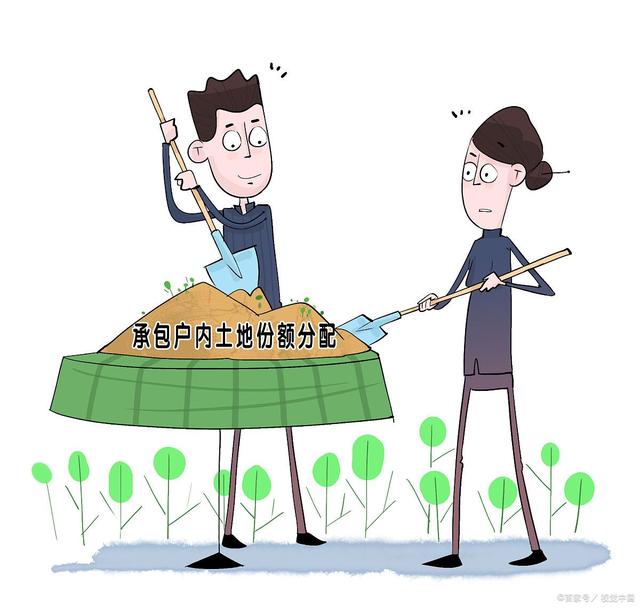 图片[5]-2028年第二轮土地承包到期，会重新分地吗？无地农民能分到地吗？-草根创业生活网