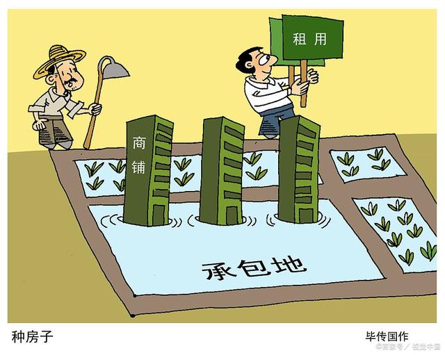 图片[2]-农村集中流转土地，有村干部作保，村民为何不愿买单？-草根创业生活网