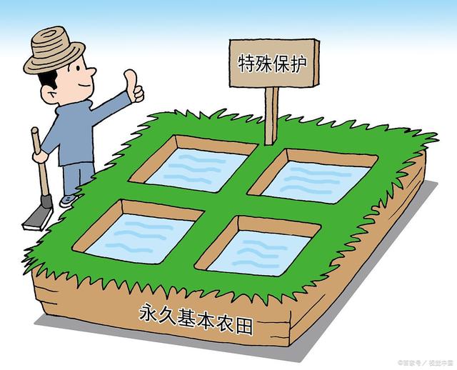图片[3]-农村集中流转土地，有村干部作保，村民为何不愿买单？-草根创业生活网