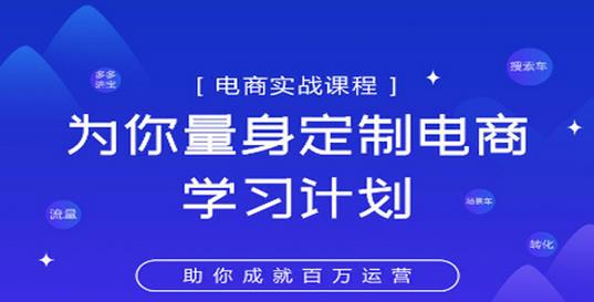 图片[1]-淘宝运营实战宝典鑫老板电商精品小课，为你量身定制电商学习计划-草根创业生活网