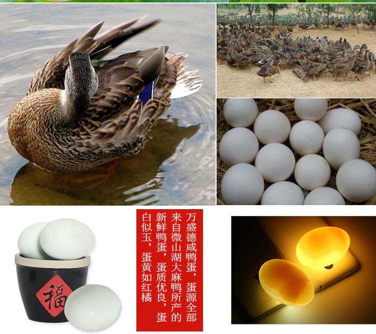 图片[3]-咸鸭蛋加工赚钱吗？如何开一家卖鸭蛋？-fyxm-专注于分享与收集全网优质资源