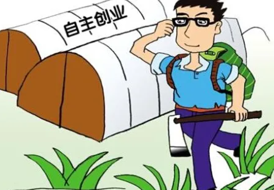 图片[1]-大学生创业去农村的论文（农村网络创业的制约因素与发展策略）-草根创业生活网