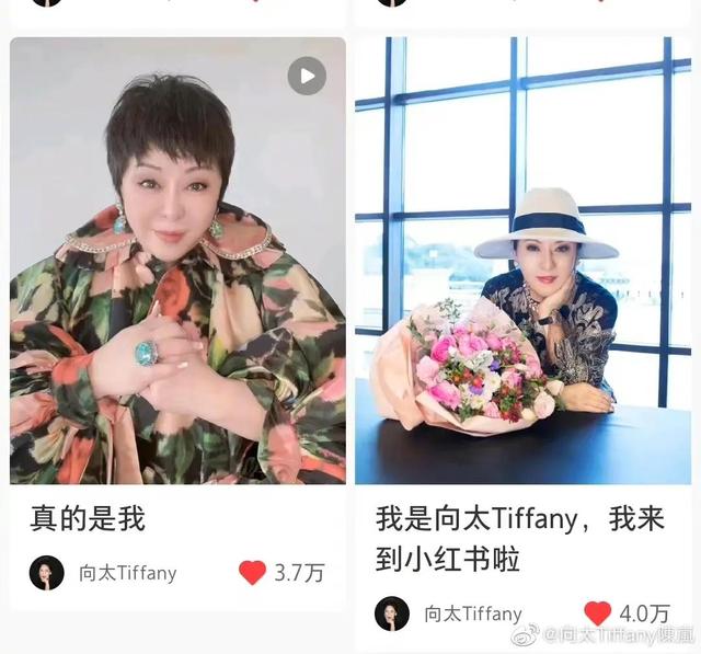 图片[1]-从向太直播，看商业底层逻辑。-草根创业生活网