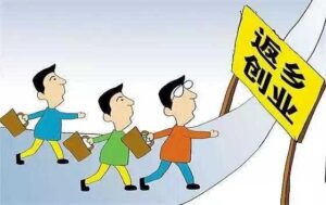 图片[2]-疫情过后，农村农民创业有哪些机会？3个项目发展有方向！-瑷珂憬転