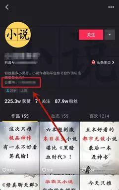 小说分销这样玩才暴利，揭开公众号小说神秘面纱 第18张