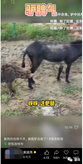 图片[2]-小白轻松操作的副业，动物方言搞笑配音项目拆解-瑷珂憬転