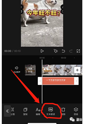 图片[7]-小白轻松操作的副业，动物方言搞笑配音项目拆解-瑷珂憬転