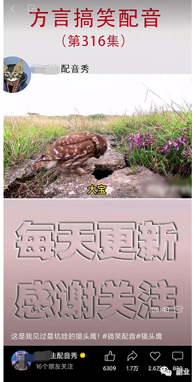 图片[1]-小白轻松操作的副业，动物方言搞笑配音项目拆解-瑷珂憬転