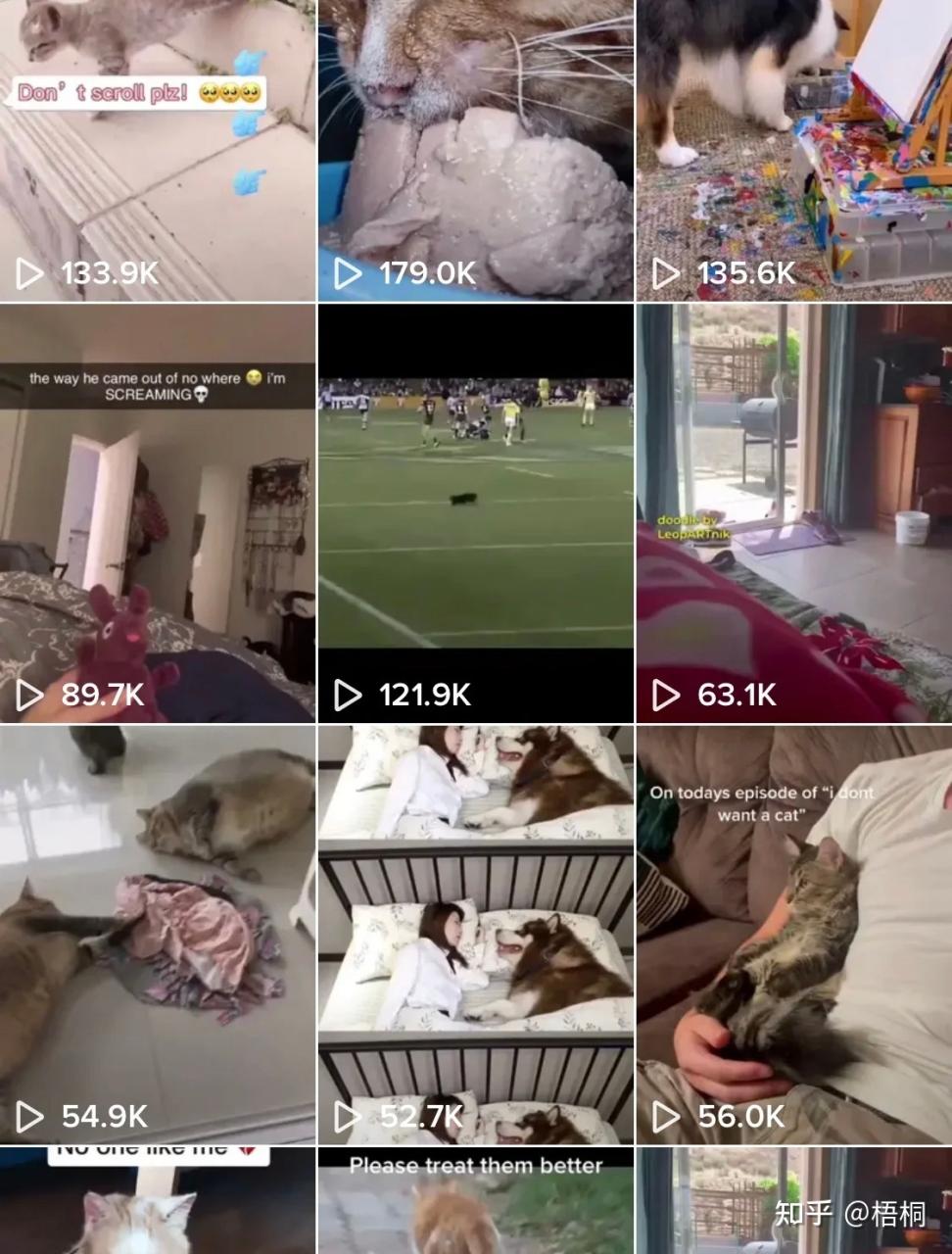 071116zogajwx42jav77jw - 赚钱还能这么容易？玩tiktok三个月赚了10w+，推荐一个暴利 ...