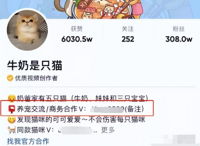 63d42dace1af7lBSm8jcZyCfEHAiL - 2023抖音赚钱新风口，图文伙伴计划重启，草根翻身暴富的机会！