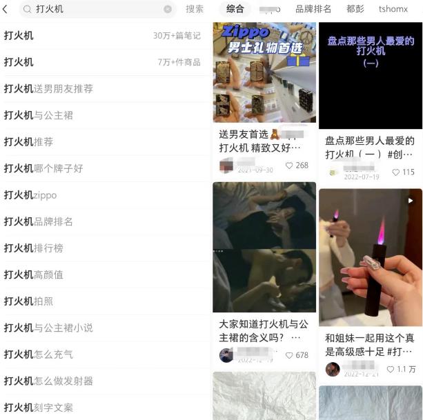 图片[2]-小红书电商无货源玩法带你轻松玩转小红书-草根创业生活网