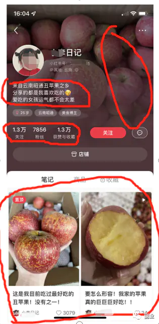 1664978282 582b1222cfa0d29 - 小红书特训营低门槛-可复制-小白可复制-独家月入10w+变现方法（2）