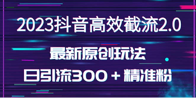 图片[1]-日引300＋创业粉，独家抖音高效截流2.0玩法（价值1280）-草根创业生活网