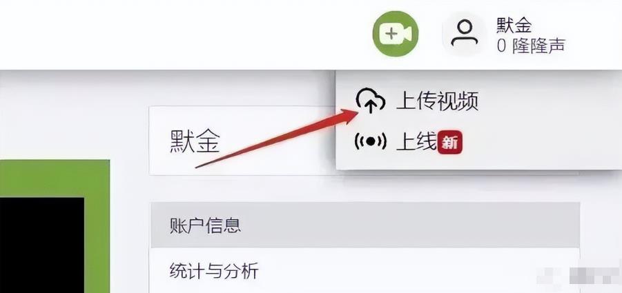 16550562beb669b99efDvqa4X - 国外网赚项目，无脑搬砖发视频，收益比油管还高