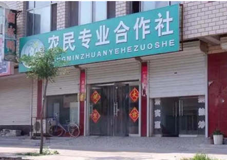 165832631468b81d487mUdyEM - 农村的4个赚钱生意